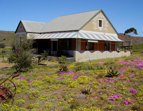 Wolverfontein Karoo Cottages Ladismith Eksteriør billede