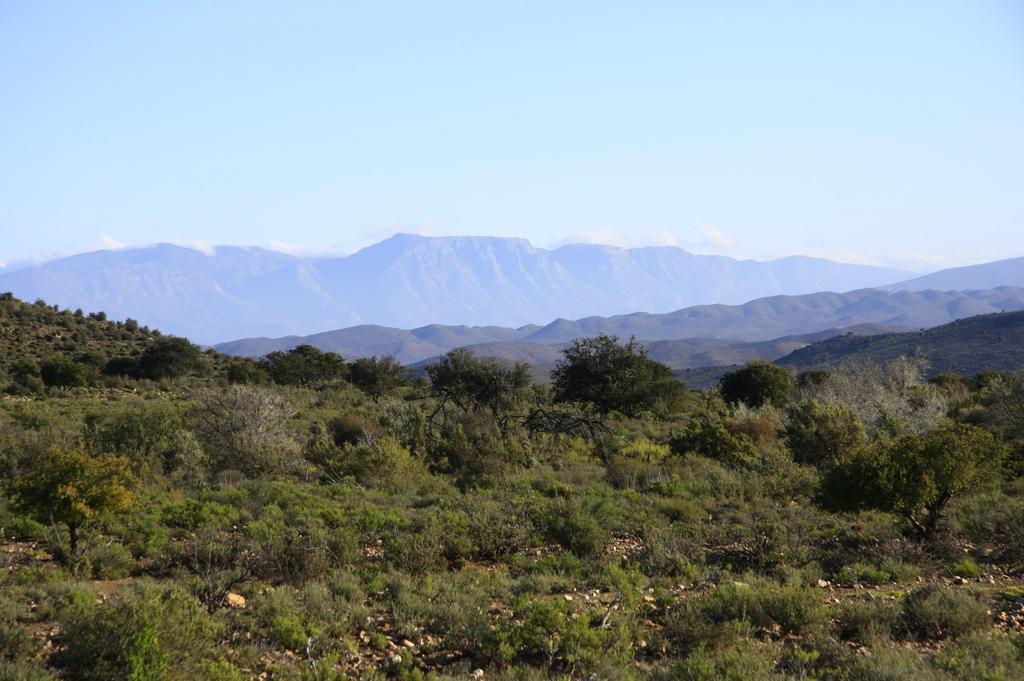 Wolverfontein Karoo Cottages Ladismith Eksteriør billede